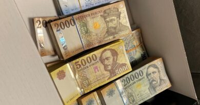 Nagy összegű forint bankjegykötegek egy dobozban