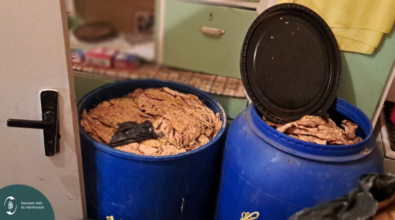 Két nagy kék hordó, megtöltve szárított dohánylevéllel egy konyhában.