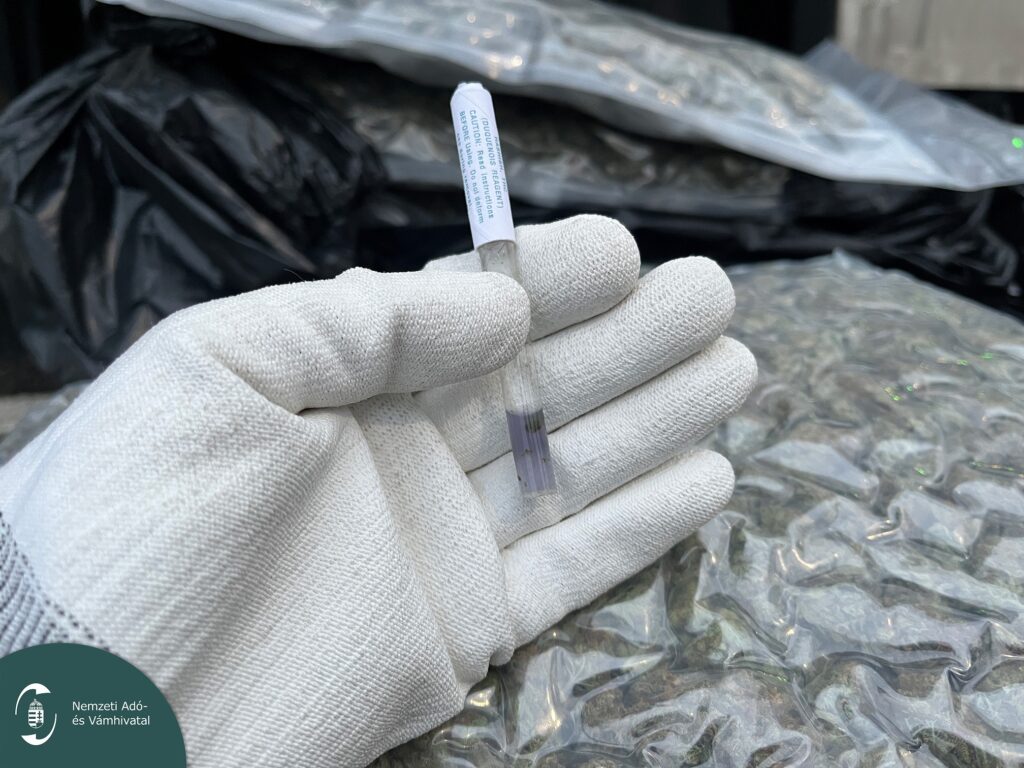 Kábítószergyorsteszt marihuánára pozitív eredménnyel