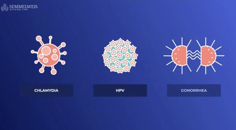 Illusztráció chlamydia, HPV és gonorrhoea fertőzésekről, Semmelweis Egyetem oktatóvideóból.