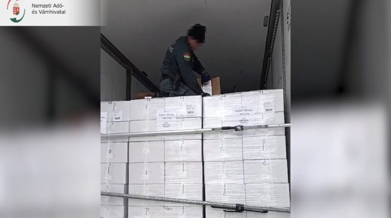 NAV pénzügyőr gyógyszerszállítmány dobozait ellenőrzi kamion rakterében