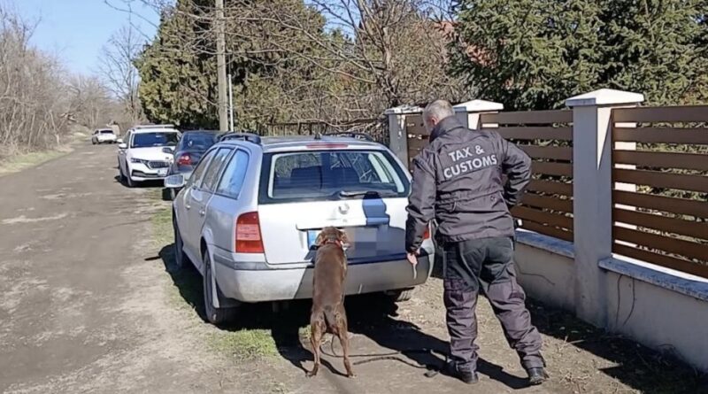 NAV-ellenőr és szolgálati kutya vizsgál egy parkoló autót Debrecenben