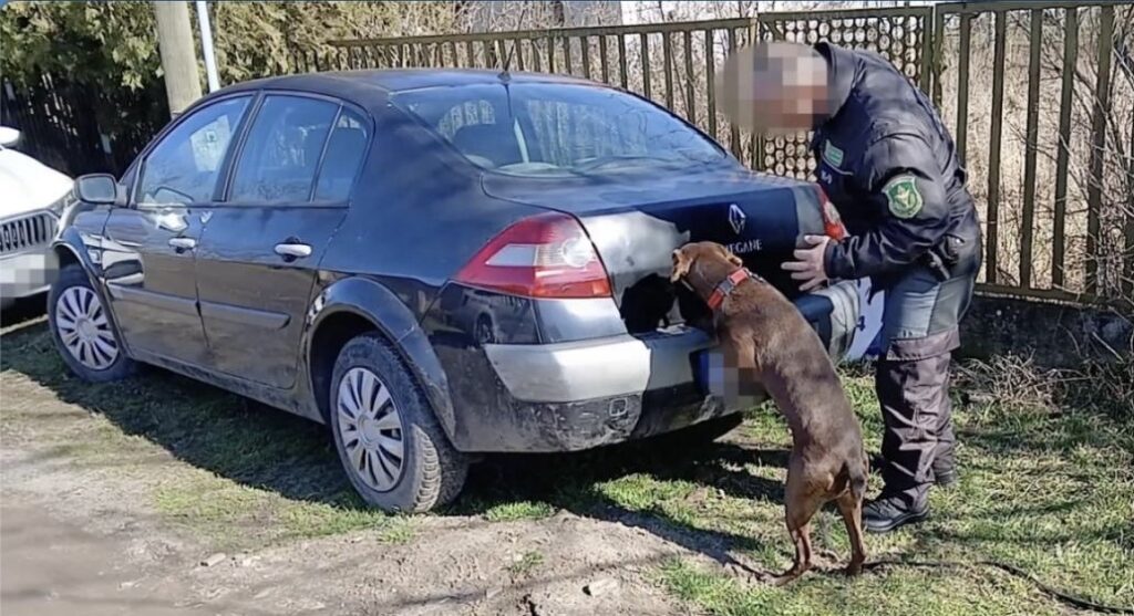 Szolgálati kutya vizsgál parkoló autót debreceni NAV-ellenőrzés során