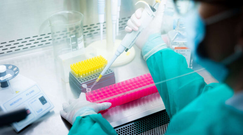 Laboratóriumi szakember genetikai mintákat vizsgál a Semmelweis Egyetem molekuláris diagnosztikai laborjában.