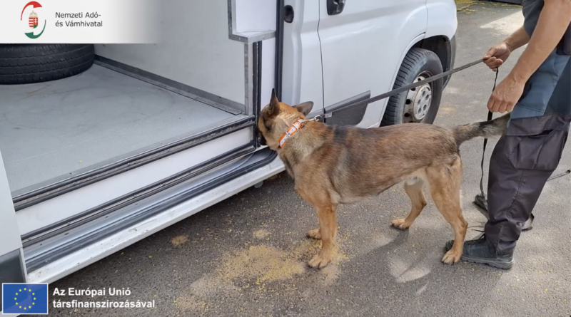 Szolgálati kutya vizsgálja egy Romániából érkezett furgon rakterének bejáratát.