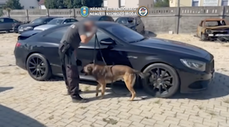 A NAV kábítószer-kereső kutyája átvizsgálja a Mercedest a KR NNI drogakciójában