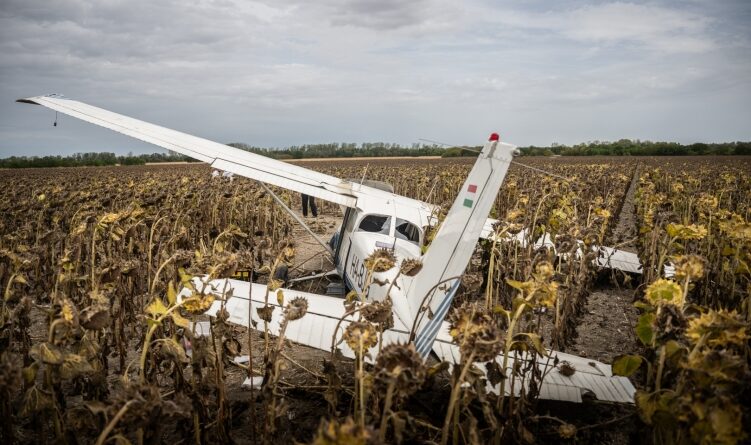 A Kalocsáról ellopott Cessna 172 kisrepülő a gerjeni napraforgótáblában a kényszerleszállás után