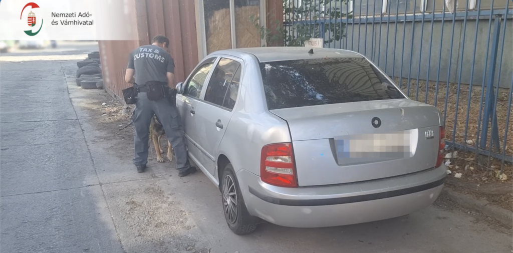 Bingo, a NAV szolgálati kutyája átvizsgálja a gyanús autót Budapesten