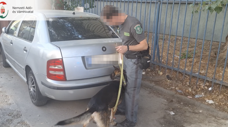 Bingo, a NAV szolgálati kutyája jelez az autó csomagtartójánál