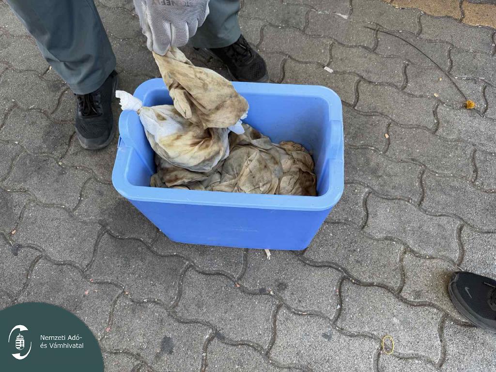 Pénzügyőr vizsgálja a kék hűtőtáskában elrejtett zsákokat Röszkén